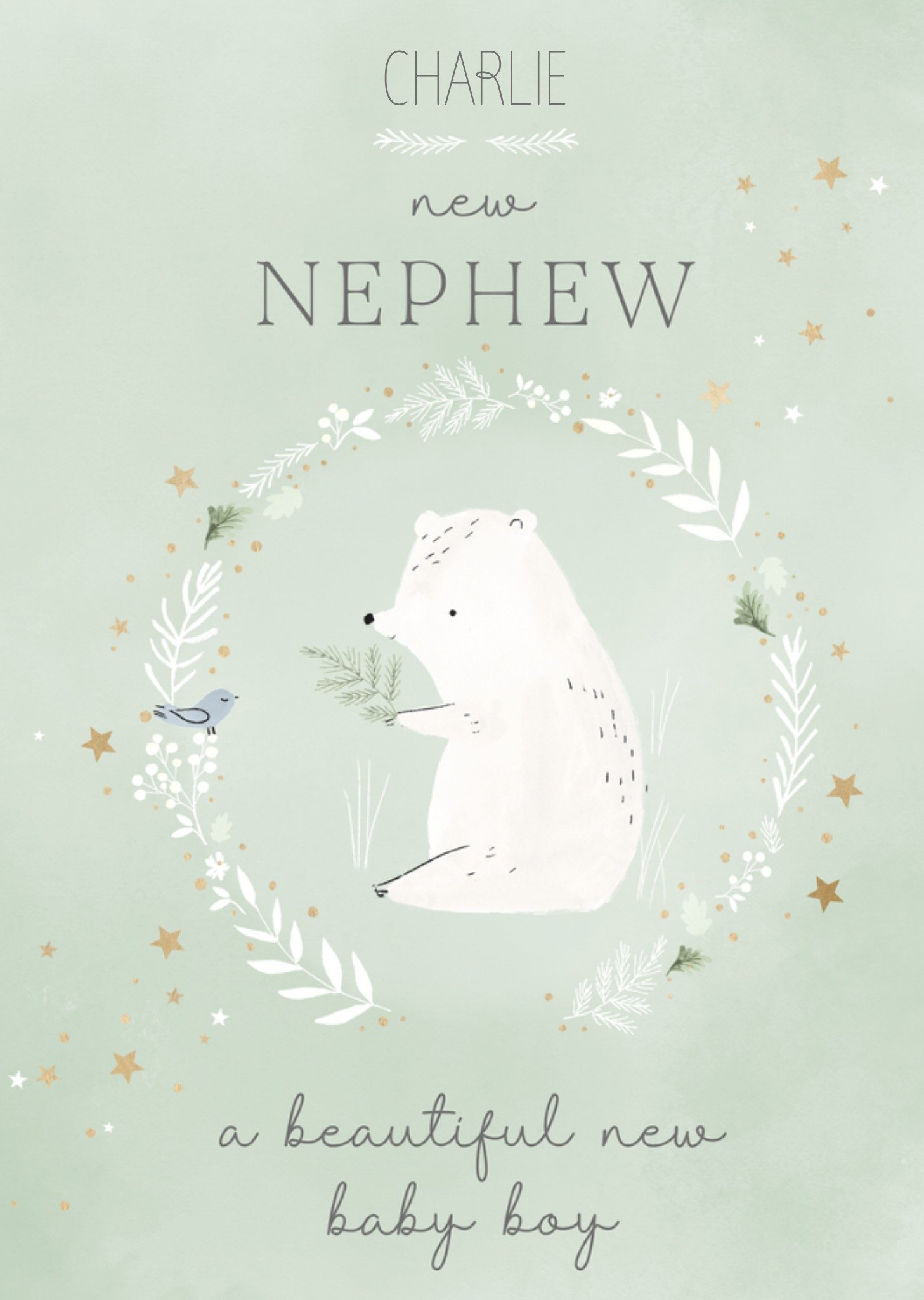 Moonpig New Nephew Bear New Baby Card