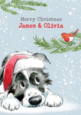 Border Collie and a Robin Christmas Card