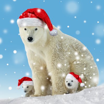 Polar Bears Christmas Card