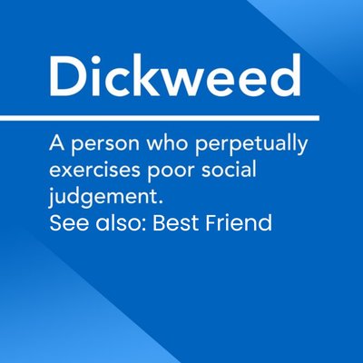 Funny rude dictionary definition Dickweed best friend birthday card