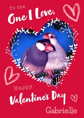 Animal Planet One I Love Birds Valentine's Day Card