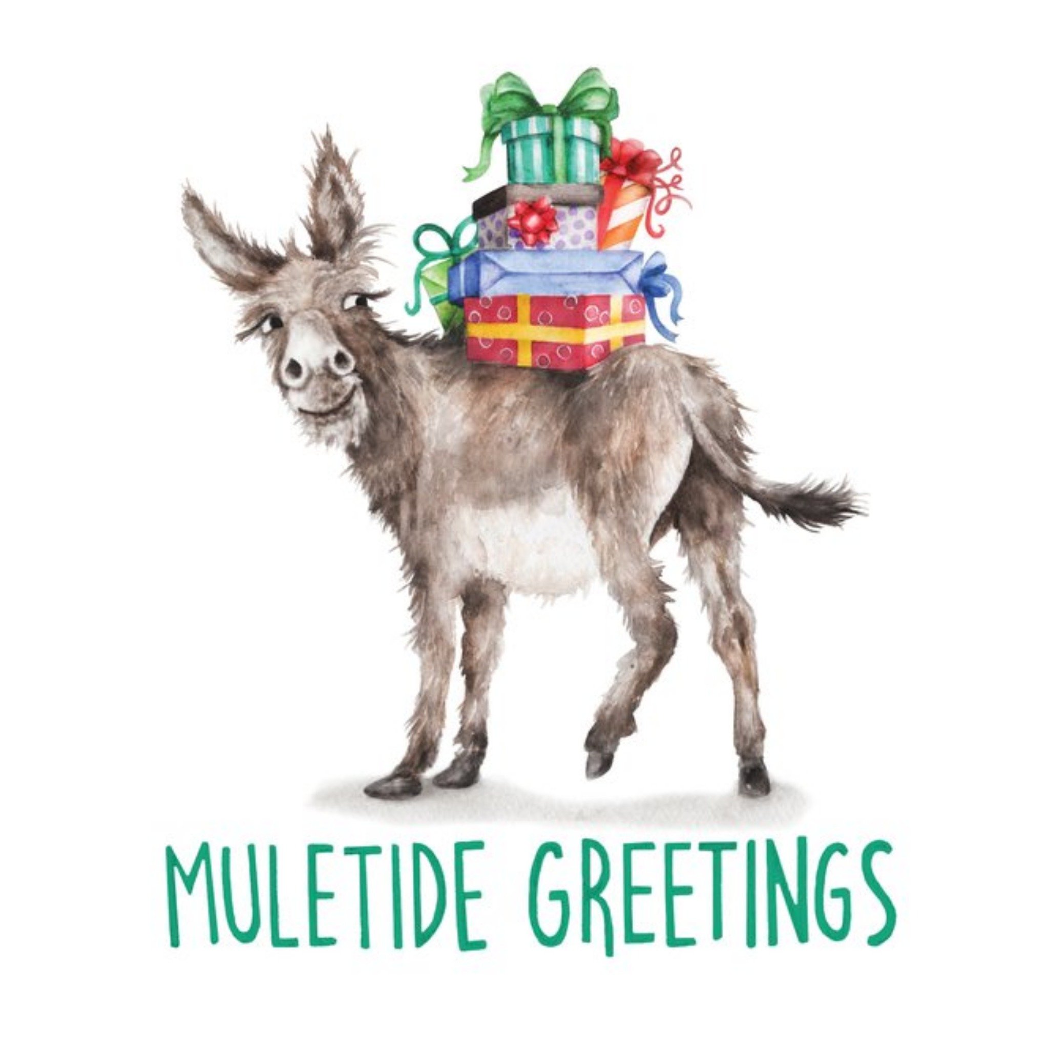 Moonpig Donkey Muletide Greetings Card