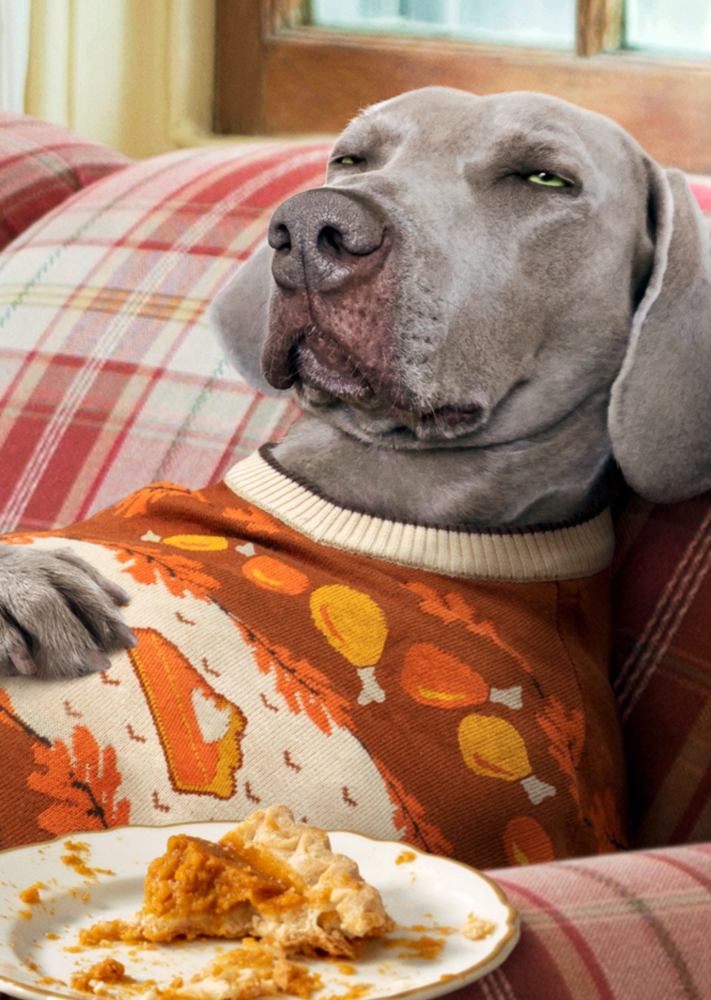 Moonpig Pumpkin Pie Happy Thanksgiving Card