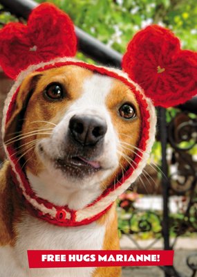 Avanti Free Hugs Funny Dog Valentine's Day Card