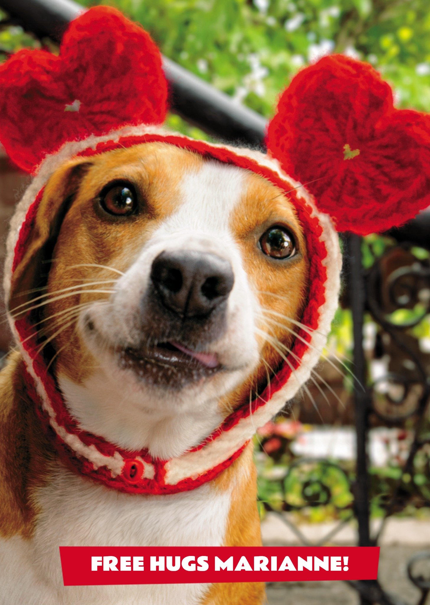 Moonpig Avanti Free Hugs Funny Dog Valentine's Day Card, Large
