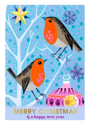 Marry Evans Picture Library Robin Christmas Card