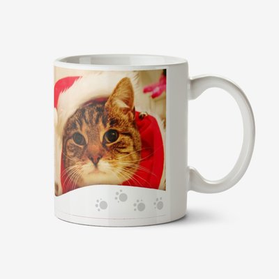 Merry Christmas From Cat Photo Upload Mug