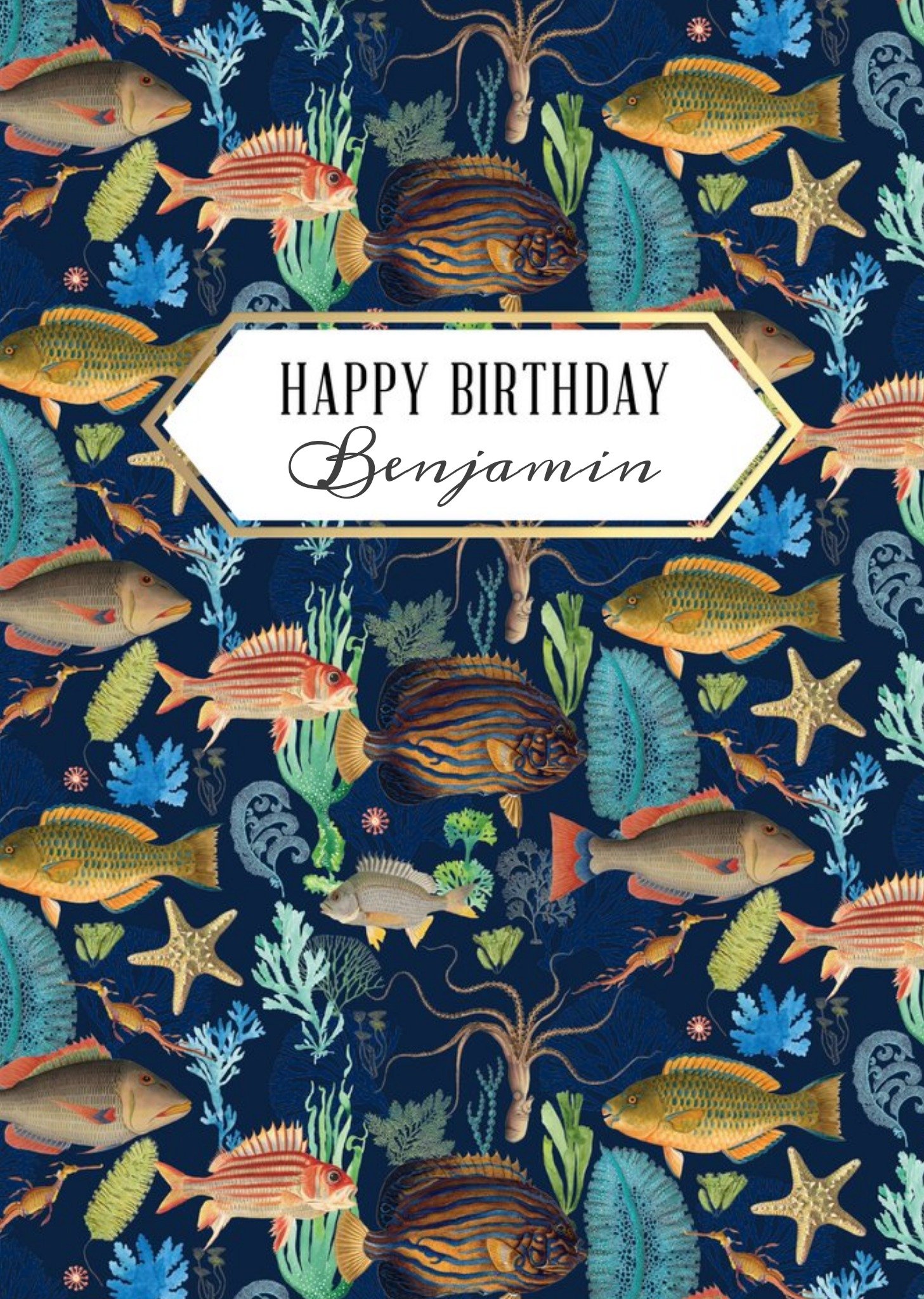 The Natural History Museum Natural History Museum Happy Birthday Underwater Card