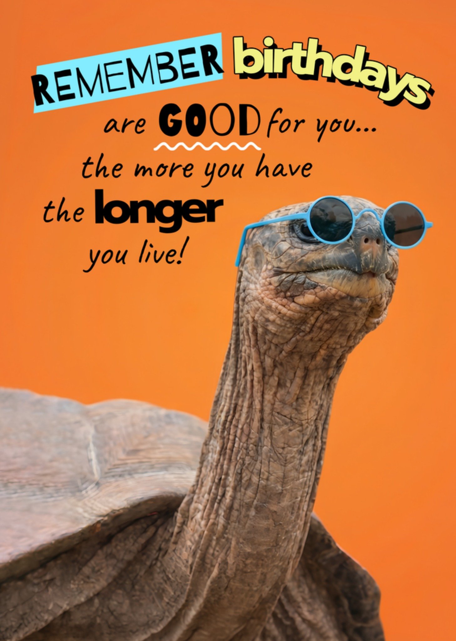 Moonpig Remember Birthdays Are Good For You Funny Tortoise Card