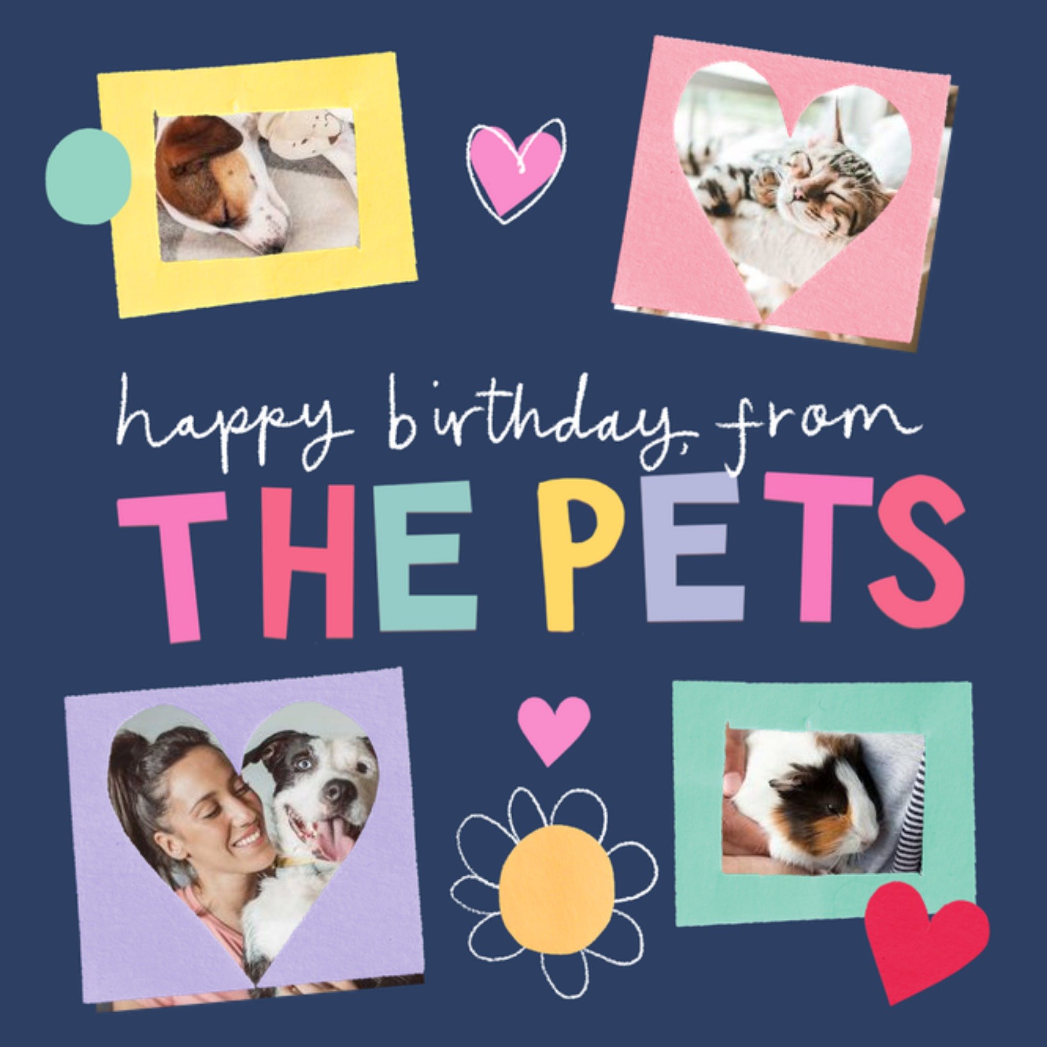 Moonpig Four Colourful Photo Frames With Handwritten Typography From The Pets Photo Upload Birthday 