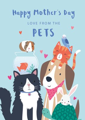 Love From The Pets Illustrated Animals Mother's Day Card