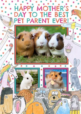 Best Pet Parent Ever Hilarious Animal Illustrations Mother's Day Card