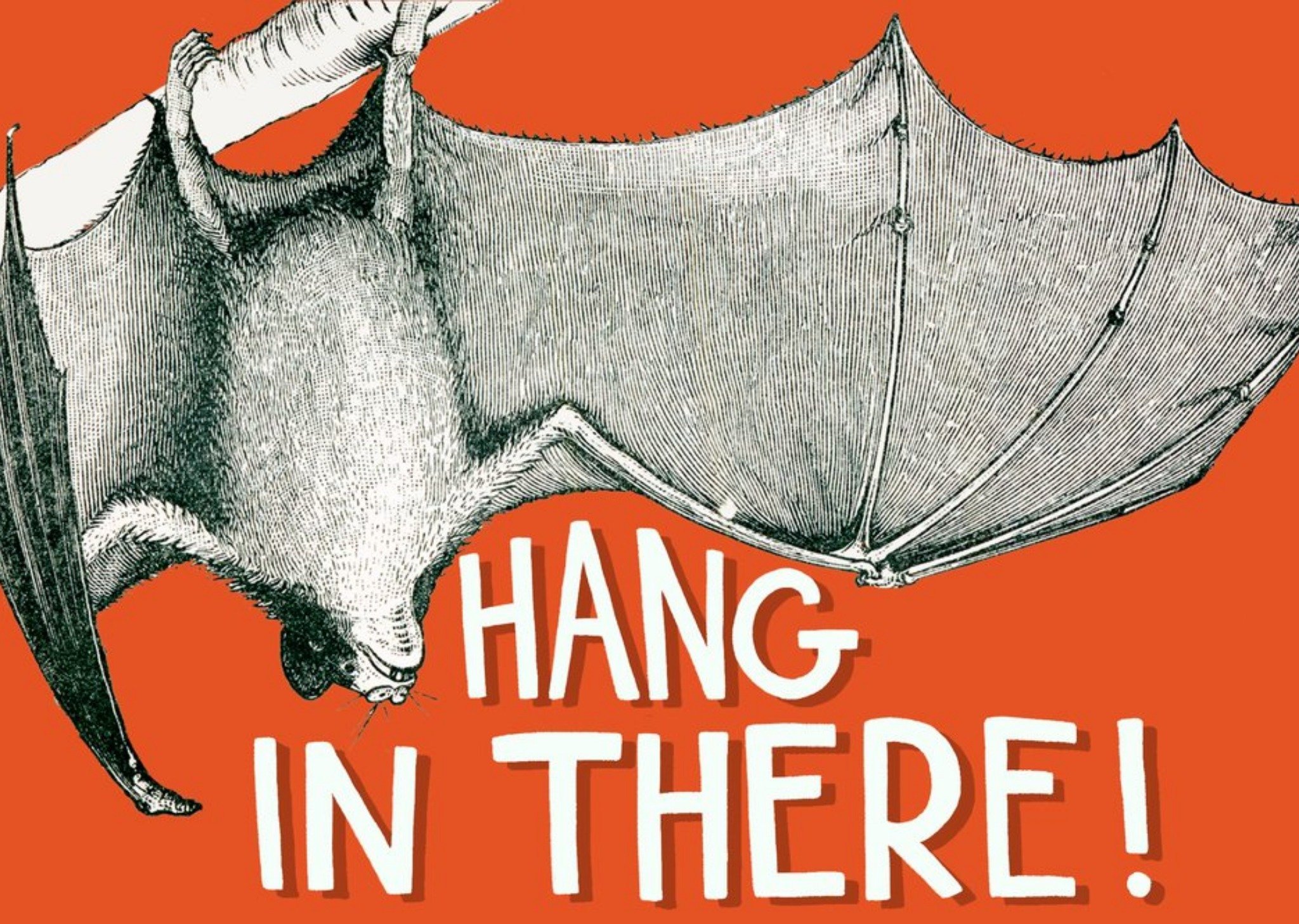 Moonpig Thinking Of You Card - Bat Illustration