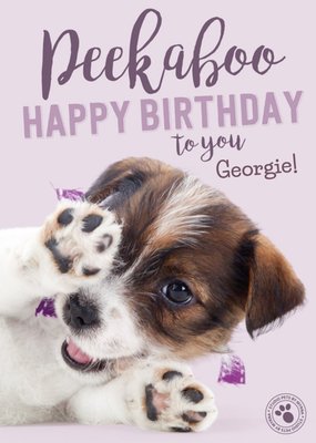 Studio Pets Peekaboo Personalised Text Birthday Card