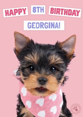 Studio Pets Birthday Card Yorkshire Terrier Puppy with a Handkerchief