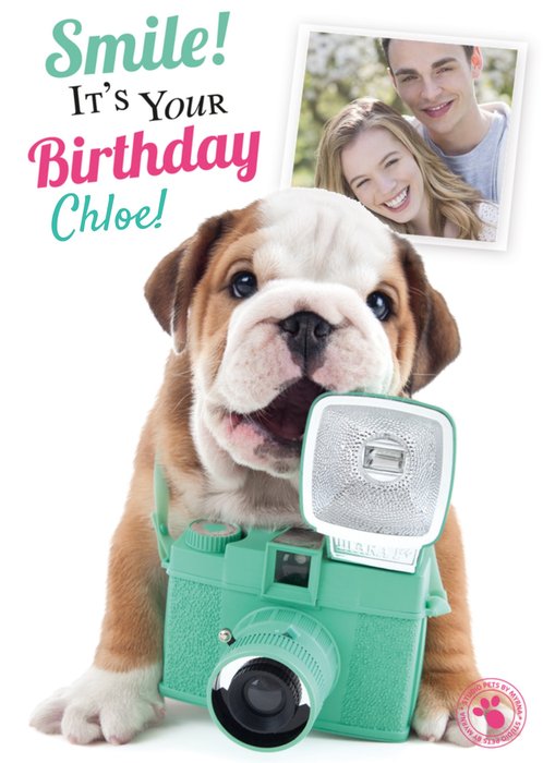 Puppy Behind The Camera Happy Birthday Photo Card