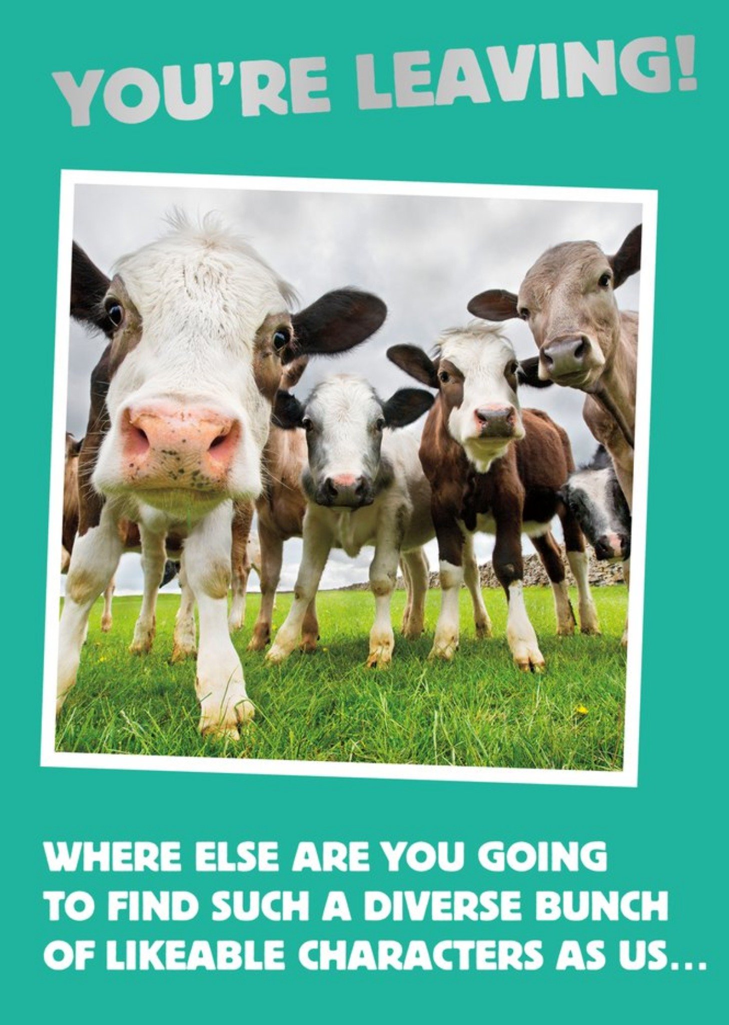 Moonpig Ukg Funny Photographic Leaving Card