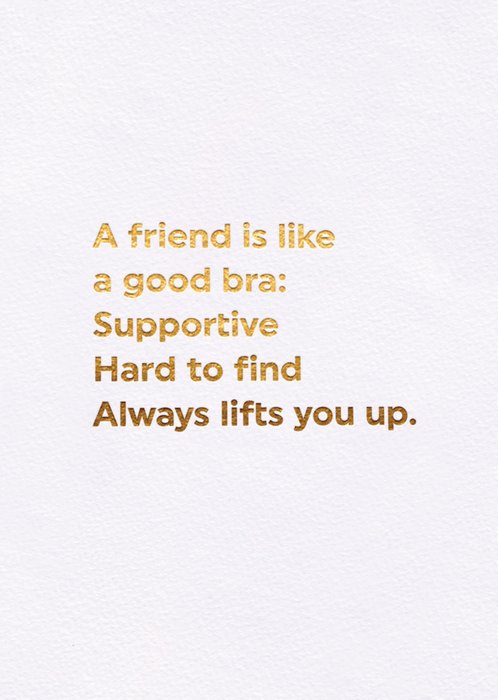 A Friend Is Like A Good Bra Card