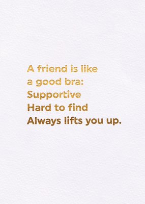 A Friend Is Like A Good Bra Card