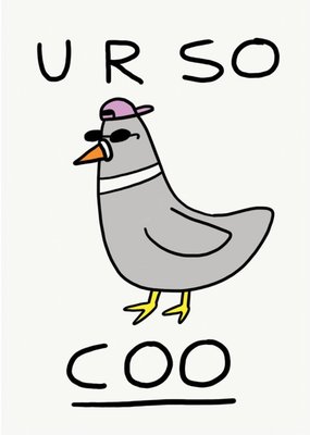 Jolly Awesome Your so coo Pigeon Humour Birthday Card