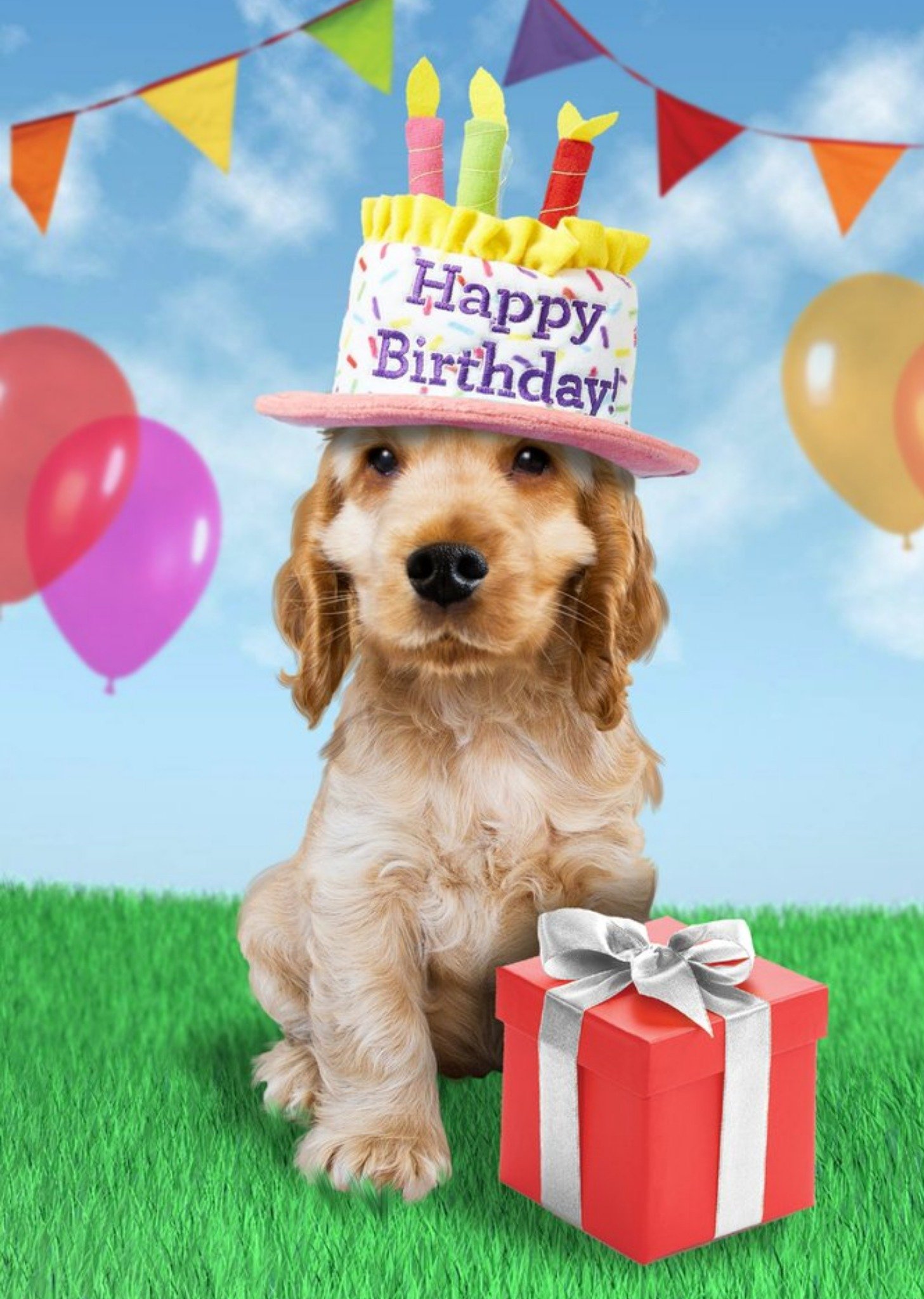 Moonpig Happy Birthday Cute Dog Gift Card