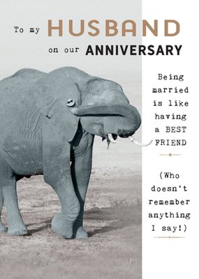 Humorous Photographic Elephant Editable Husband Anniversary Card