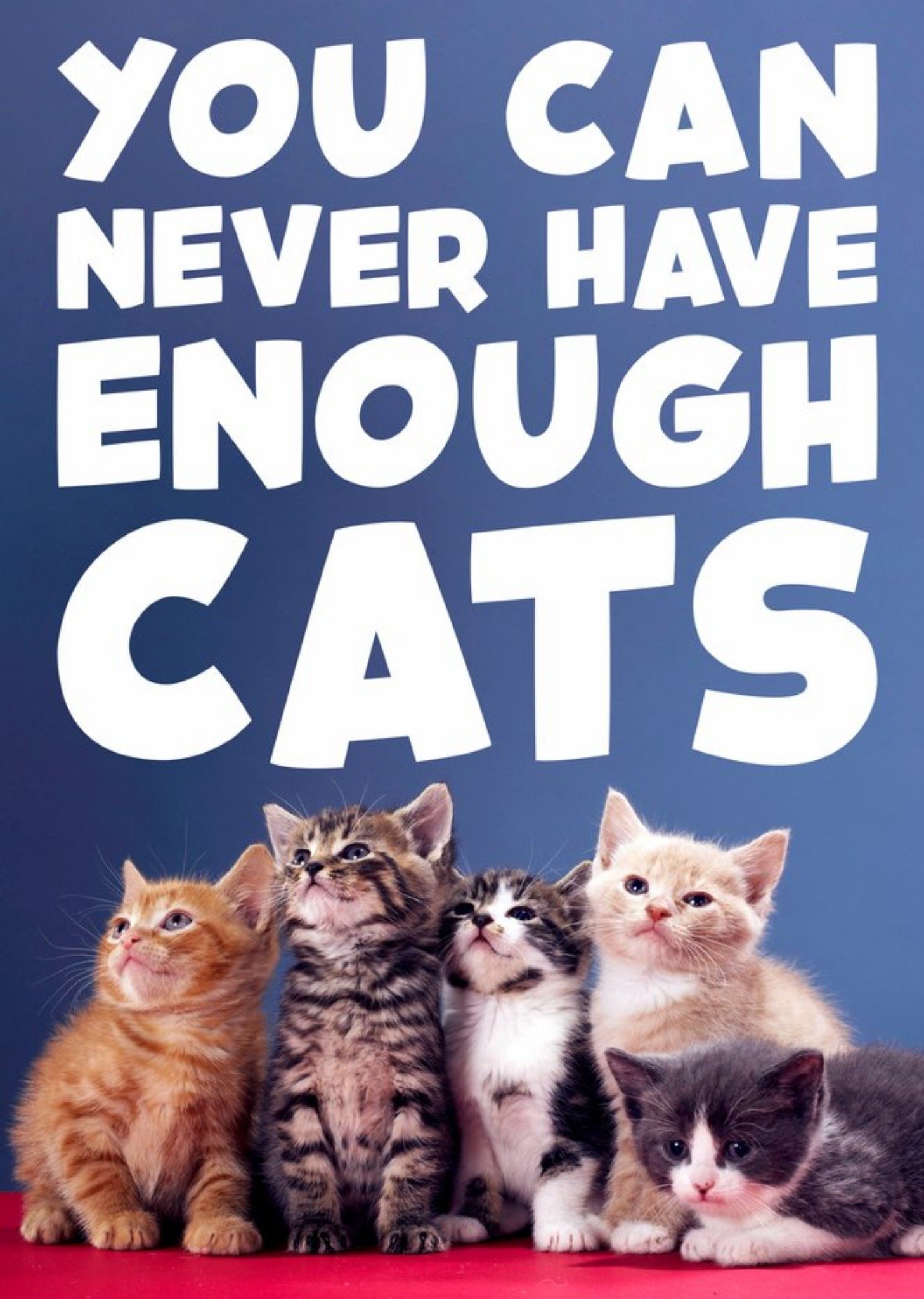 Moonpig You Can Never Have Enough Cats Funny Typographic Card