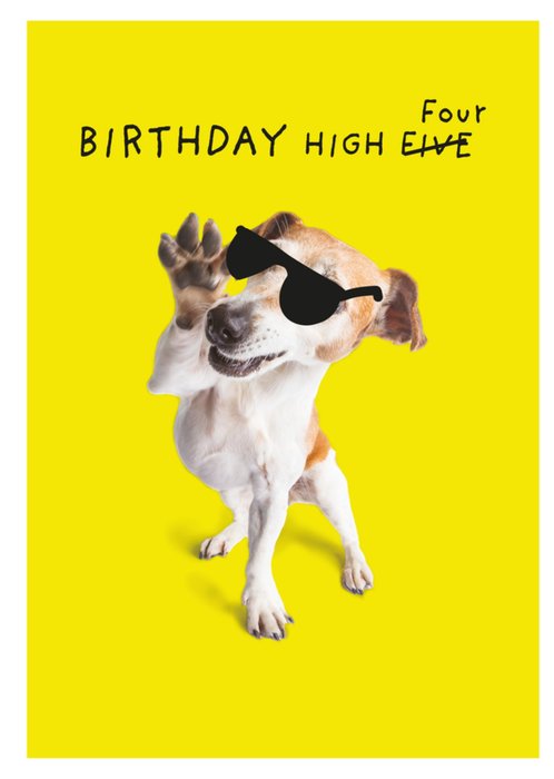 Pigment High Four Cool Dog Birthday Card