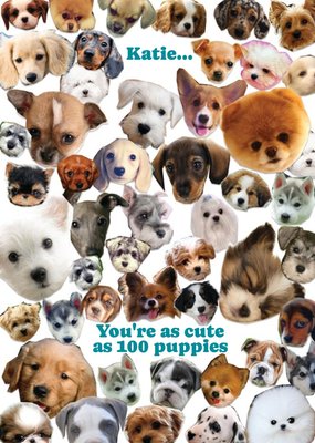 You're As Cute As 100 Puppies Personalised Happy Birthday Card