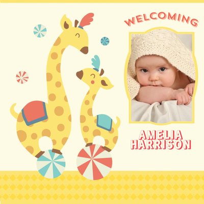 Little Giraffes New Baby Photo Card