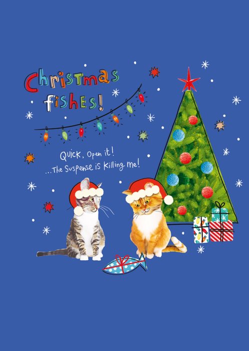 Christmas Fishes Funny Cat Illustrated Scribbler Card 