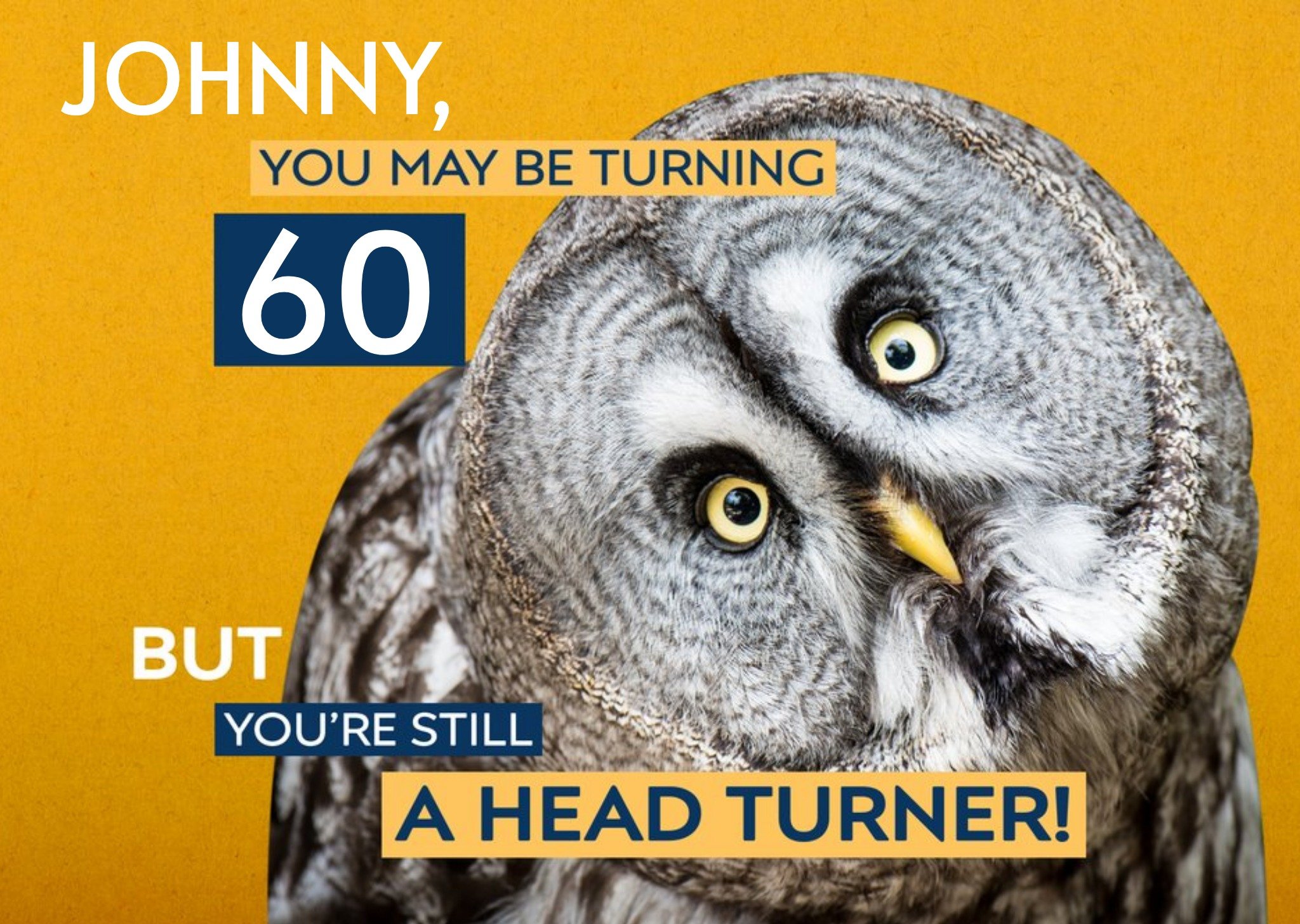 Moonpig Birthday Card - Photo Humour - Animal Antics - 60th Birthday