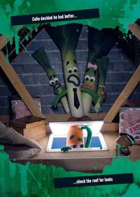 Checking The Roof For Leeks Funny Joke Personalised Happy Birthday Card