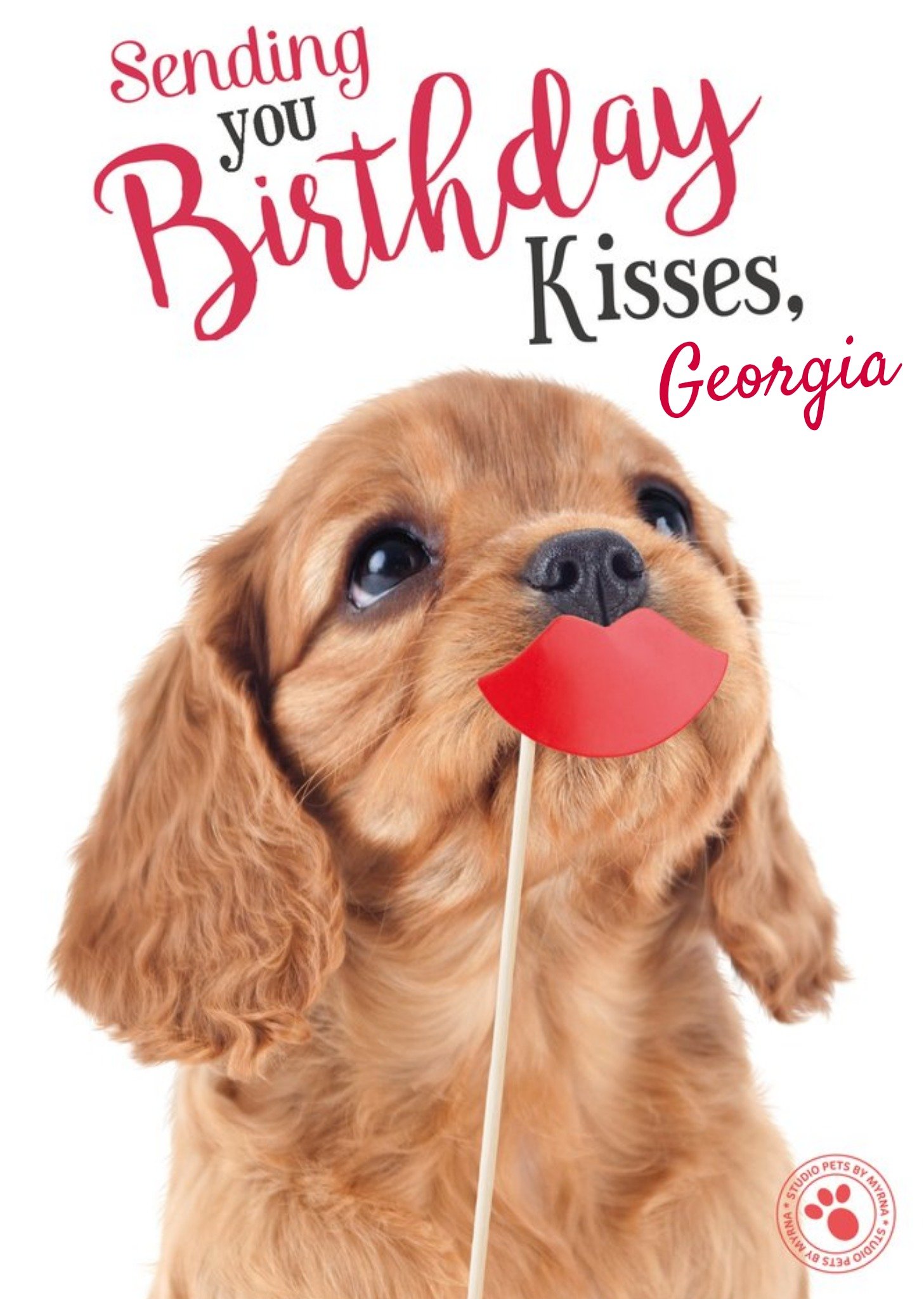 Studio Pets Sweet Puppy Dog Birthday Kisses Card
