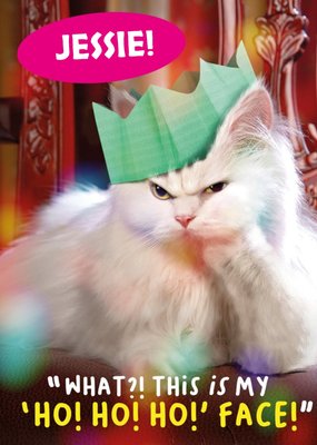 Funny Photographic Grumpy Cat Christmas Card