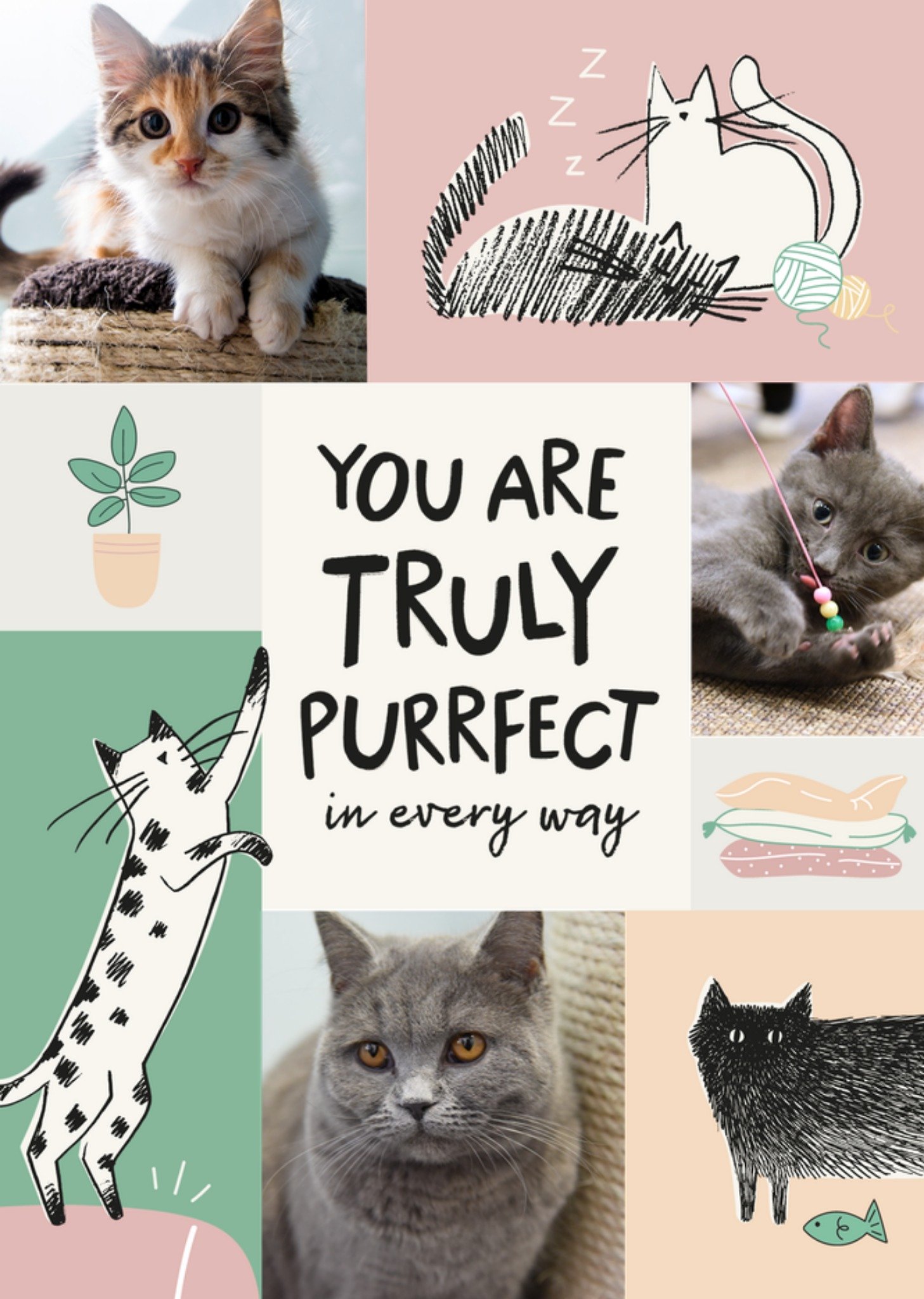 Moonpig Battersea You Are Truely Purrfect In Every Way Cute Illustrated Cats Photo Upload Card