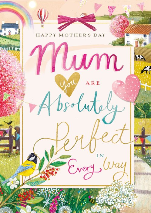 Mum You Are Absolutely Perfect Mother's Day Card 