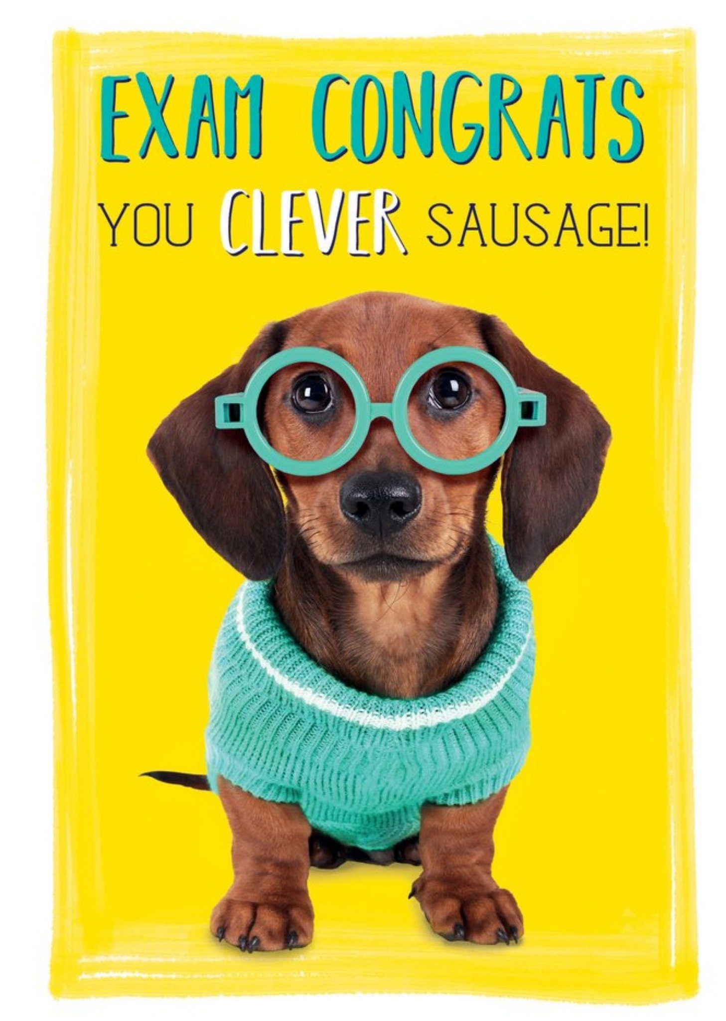 Moonpig Exam Congrats You Clever Sausage Dog Card