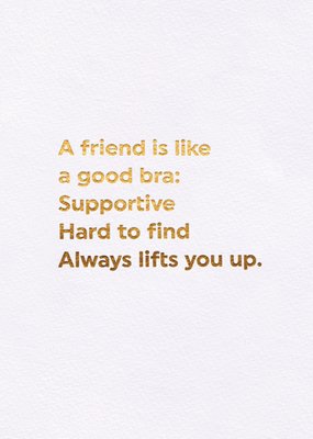 A Friend Is Like A Good Bra Card