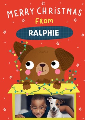 Illustration Of A Cute Dog Surrounded By Festive Lights From The Dog Photo Upload Christmas Card