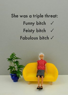 Bold And Bright Funny Photo Image Feisty Bitch Birthdays Card 