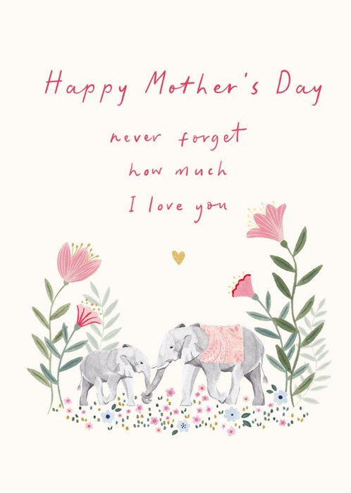 Never Forget How Much I Love You Mother's Day Card