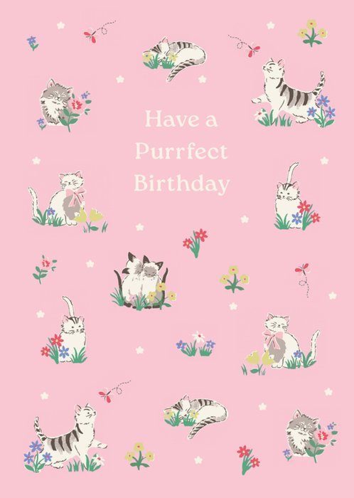 Cats Illustrated Cath Kidston Birthday Card 