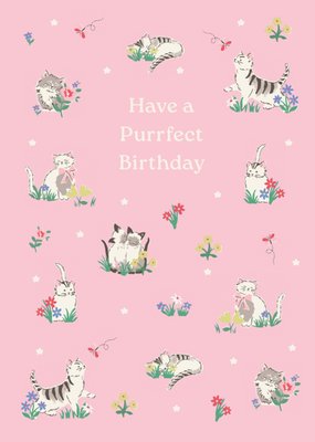 Cats Illustrated Cath Kidston Birthday Card 