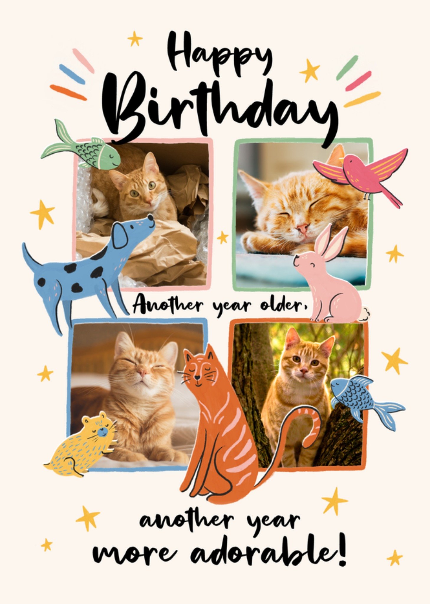 Moonpig Another Year More Adorable Photo Upload For The Pet Birthday Card