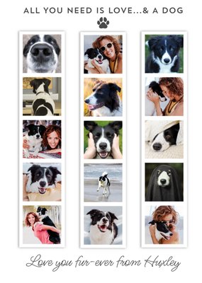 Loving 15 Photo Booth Strips All You Need Is Love And A Dog Frameable Photo Upload Valentine's Day Card