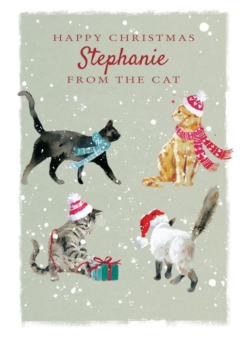 Ling Design Personalised Christmas Card From The Cat