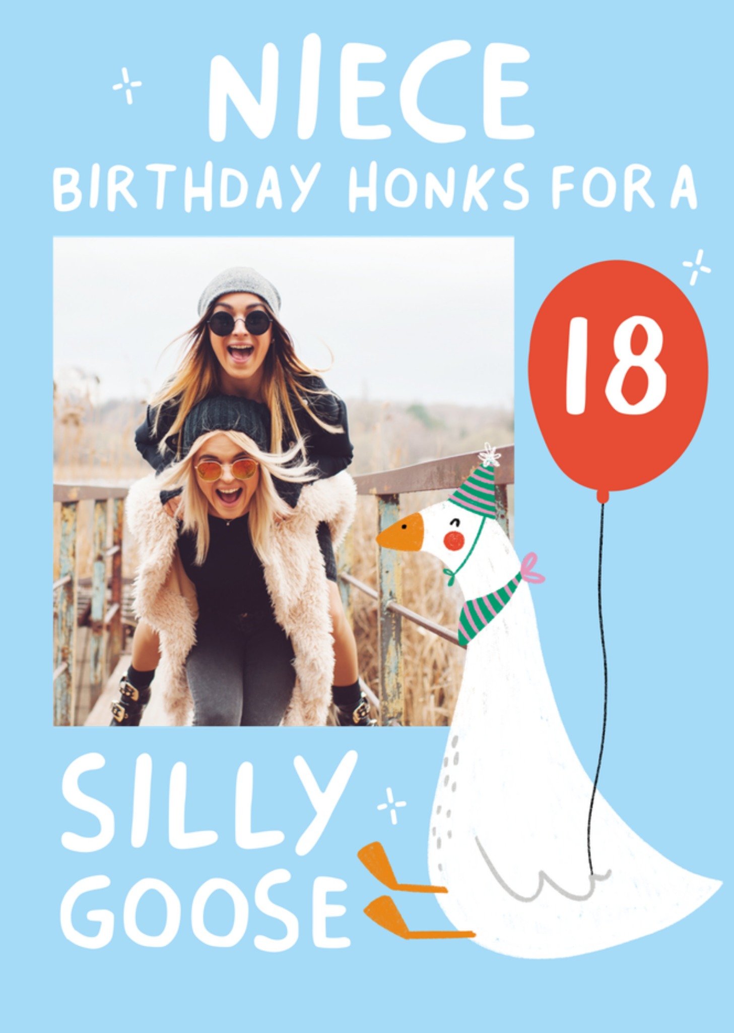 Scribbler Niece 18th Silly Goose Photo Upload Birthday Card