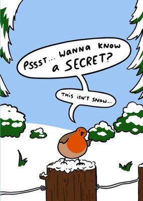 Funny Robin Snowy Poop Christmas card