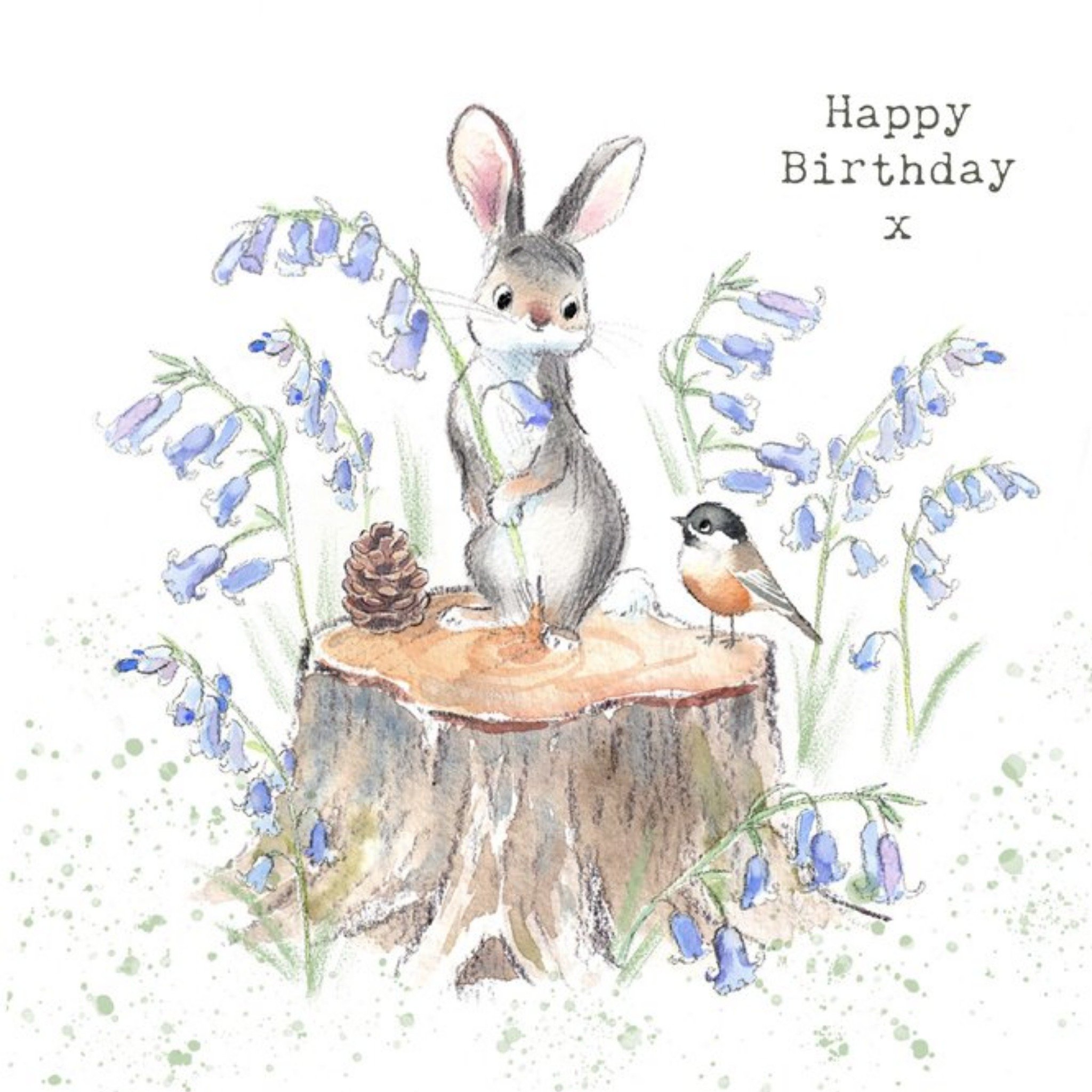 Peter Rabbit Personalise Birthday Card With Stic